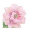 Blush Die-Cut Paper Linen Party Napkins - 15 Per Package - 2 Packages