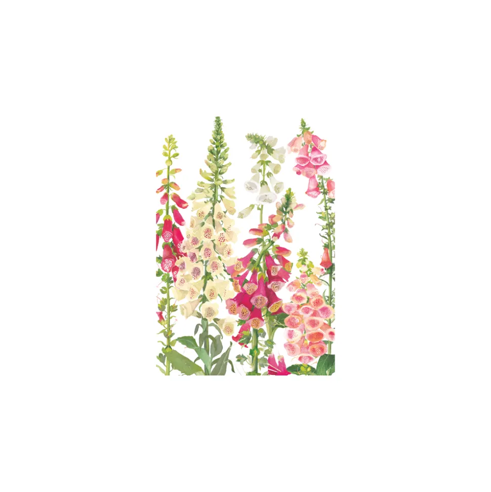 Botanical Blank - Set Of Six Greeting Cards And Envelopes