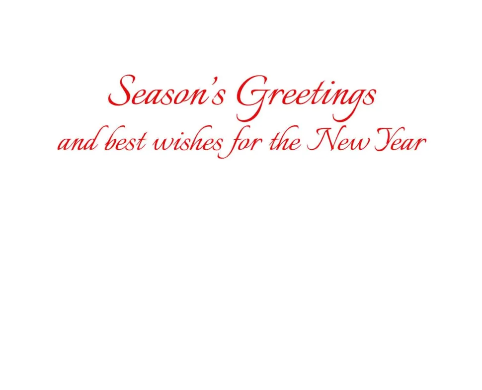 Cardinals And Magnolia Classic Boxed Christmas Cards - includes 15 cards & envelopes