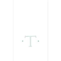 Caspari Antique Robin's Egg Single Initial Guest Towel Napkins - 24 Per Box