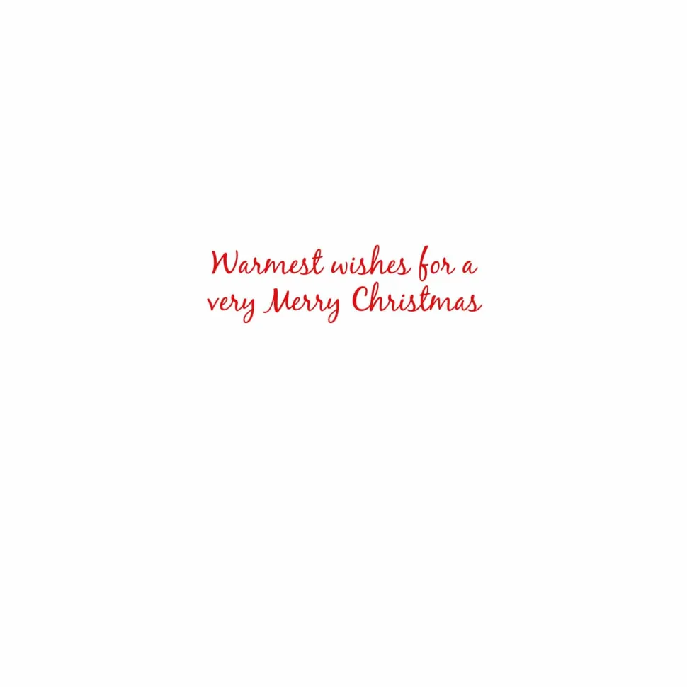 Cat And Dog At Window Petite Boxed Christmas Cards - includes 15 cards & envelopes