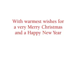 Christmas At Home Petite Boxed Christmas Cards - includes 15 cards & envelopes