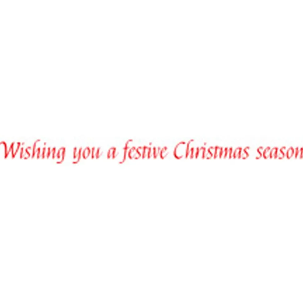 Christmas Tiger Small Boxed Christmas Cards - includes 15 cards & envelopes