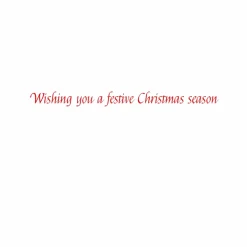 Christmas Tiger Small Boxed Christmas Cards - includes 15 cards & envelopes