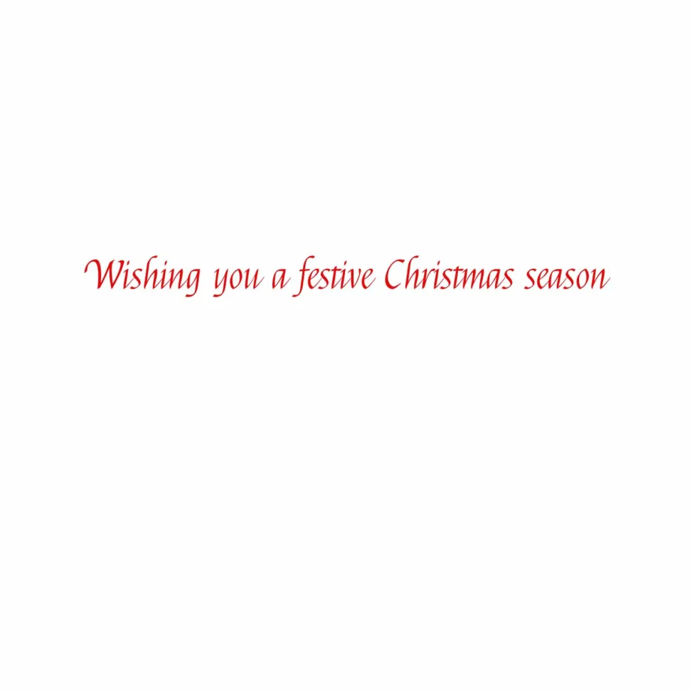 Christmas Tiger Small Boxed Christmas Cards - includes 15 cards & envelopes