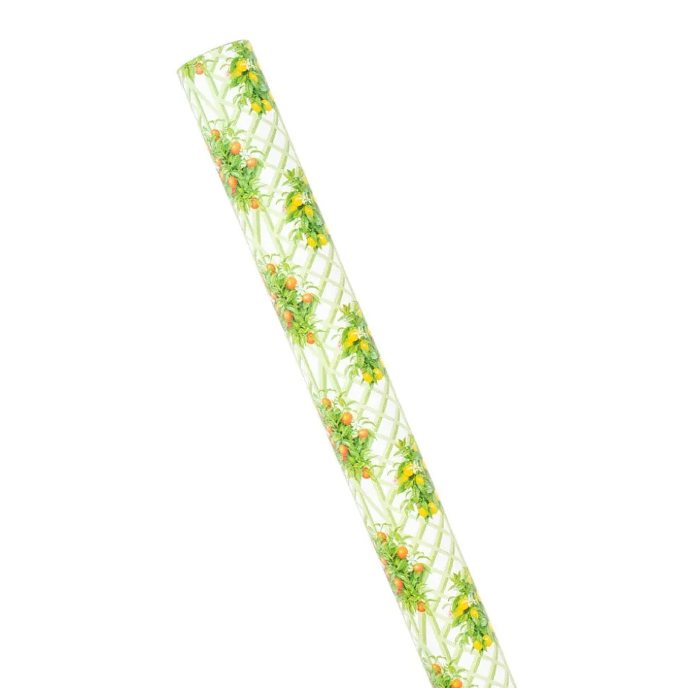 Citrus Topiaries Gift Wrapping Paper in White - 30" x 8' Roll