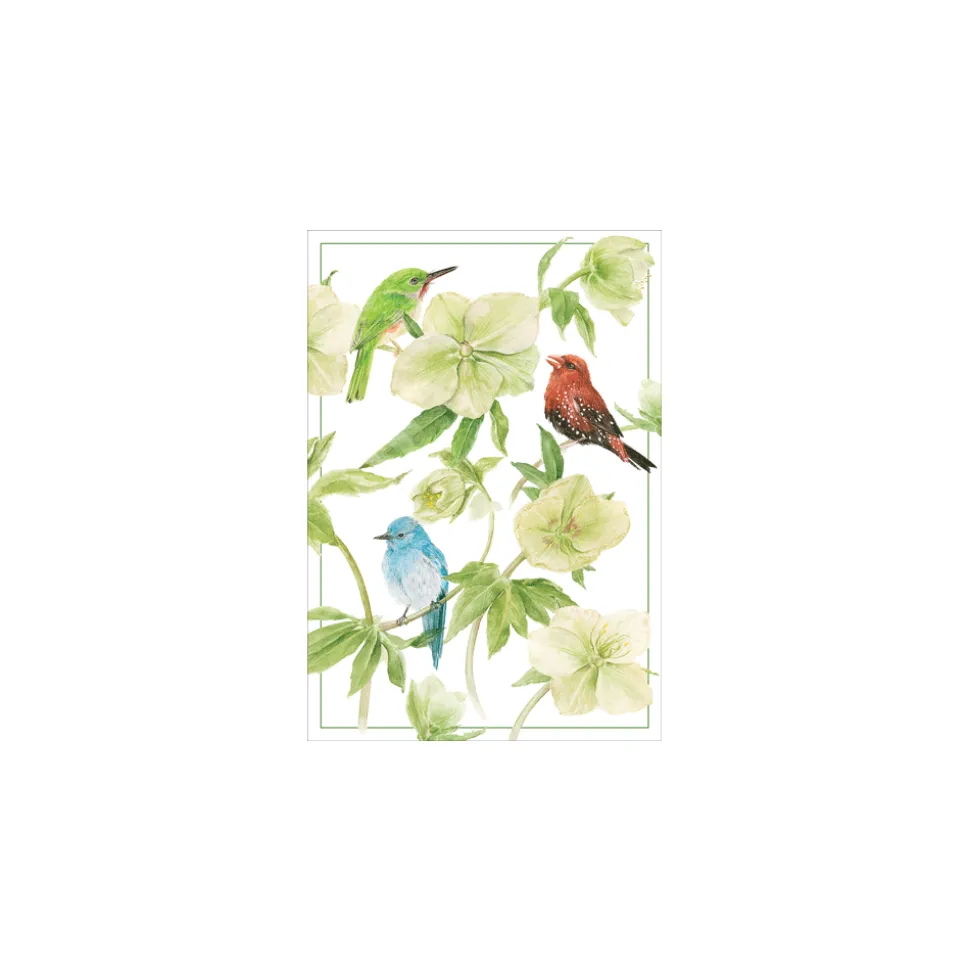 Classic Floral - Birthday Set Of Six Greeting Cards And Envelopes