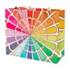 Color Wheel Large Gift Bag - 1 Each