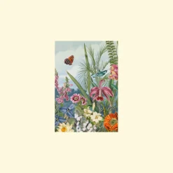 Floral Blank - Set Of Six Greeting Cards And Envelopes