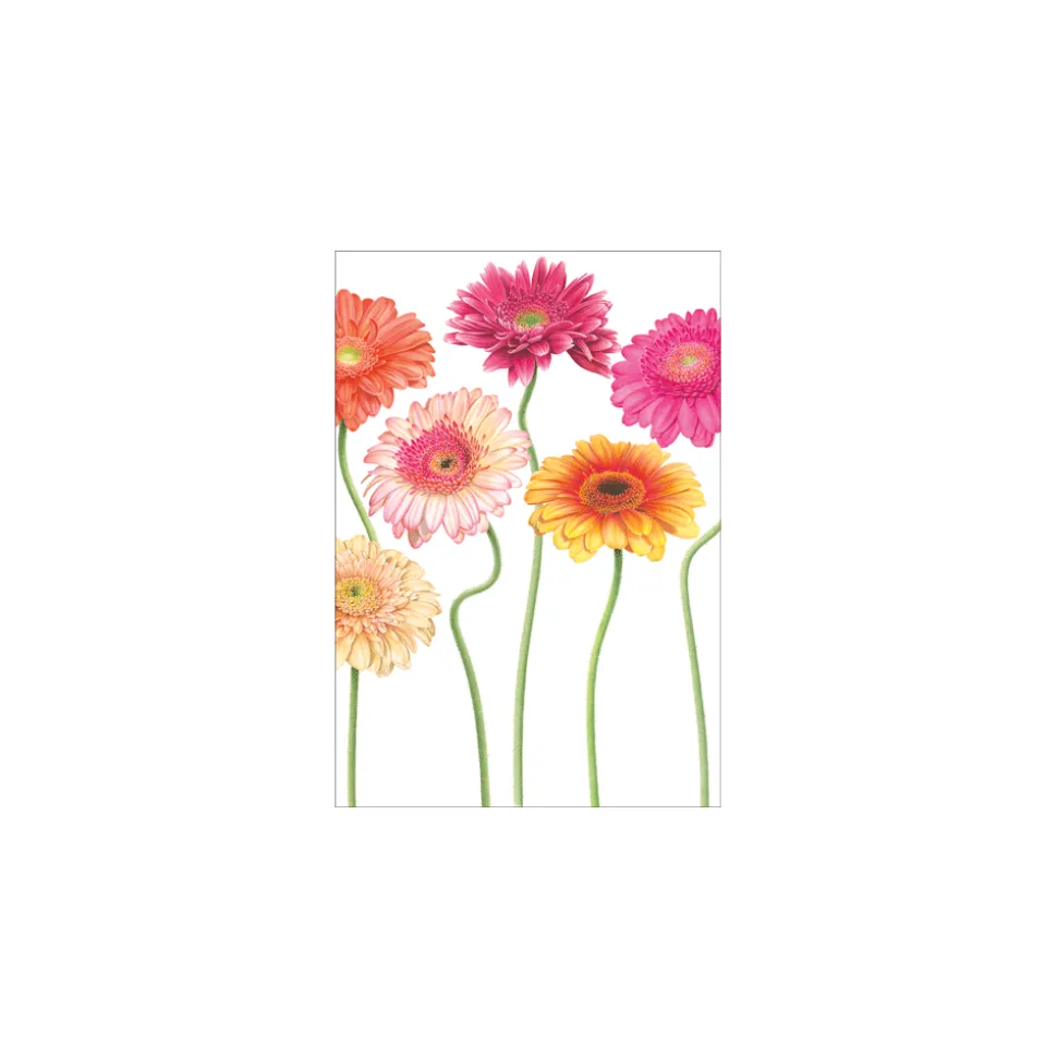 Floral Whimsy Birthday - Set Of Six Greeting Cards And Envelopes