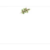 Holly Sprig Correspondence Cards - 20 Card & Envelopes