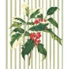 Holly Sprig Petite Boxed Christmas Cards - includes 15 cards & envelopes