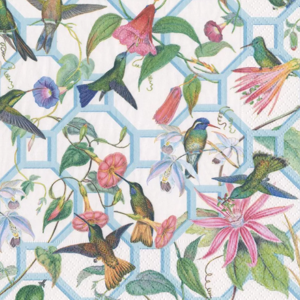 Hummingbird Trellis Paper Dinner Napkins - 20 Per Package