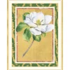 Magnolia Bloom Personalized Christmas Cards