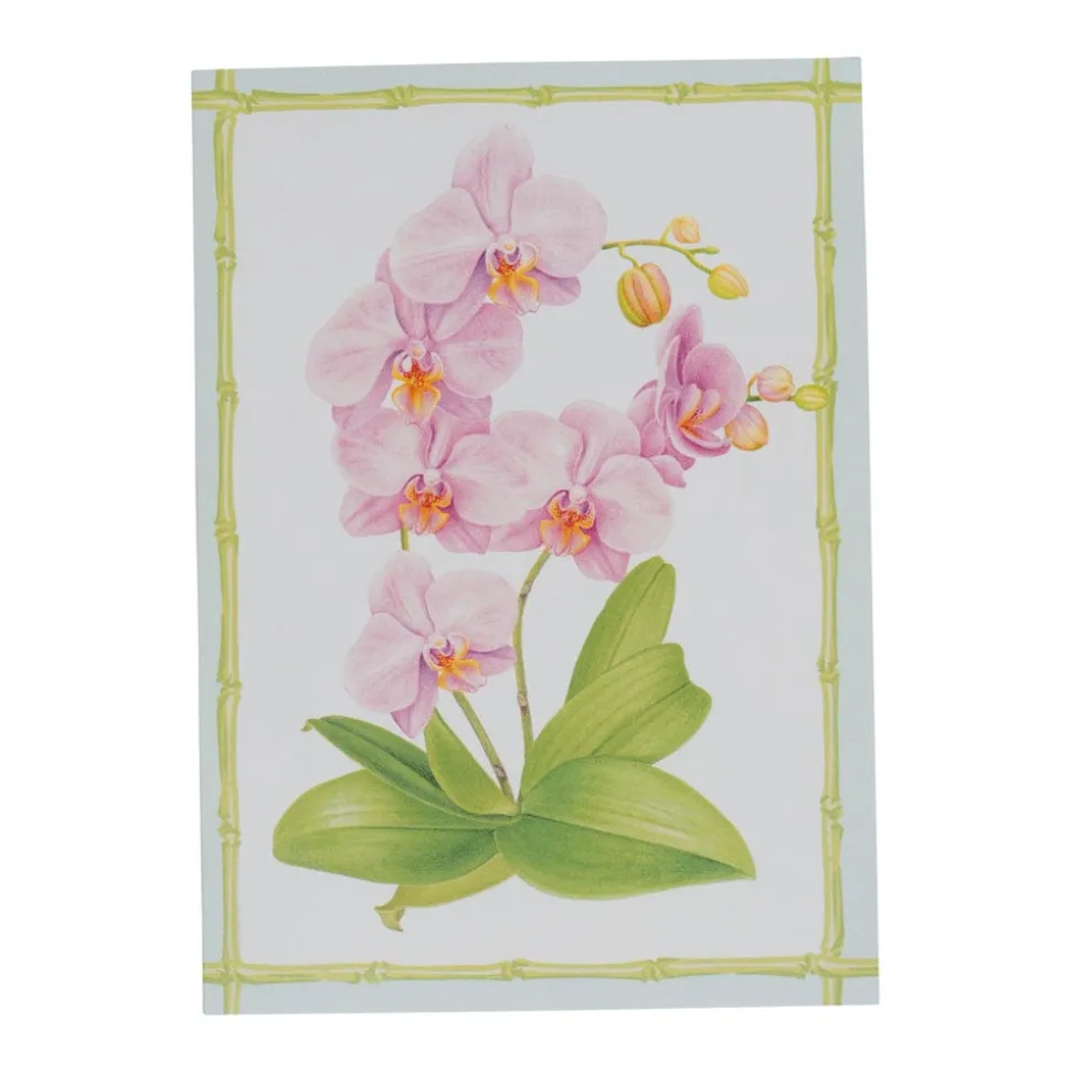 Orchid Conservatory Boxed Note Cards - 8 Note Cards & 8 Envelopes