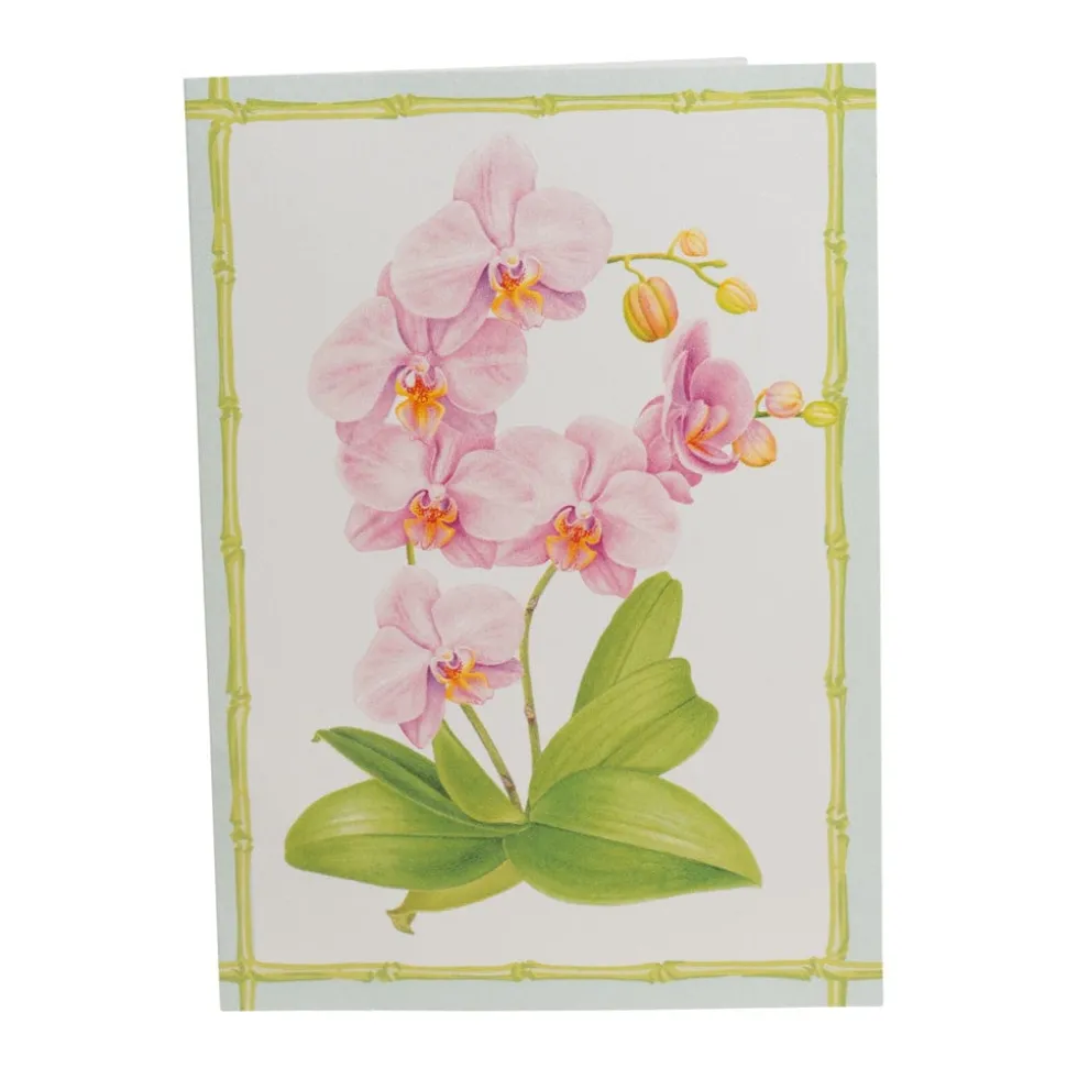 Orchid Conservatory Boxed Note Cards - 8 Note Cards & 8 Envelopes