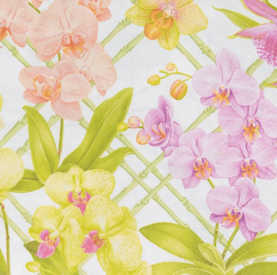 Orchid Conservatory Dinner Napkins - 20 Per Package