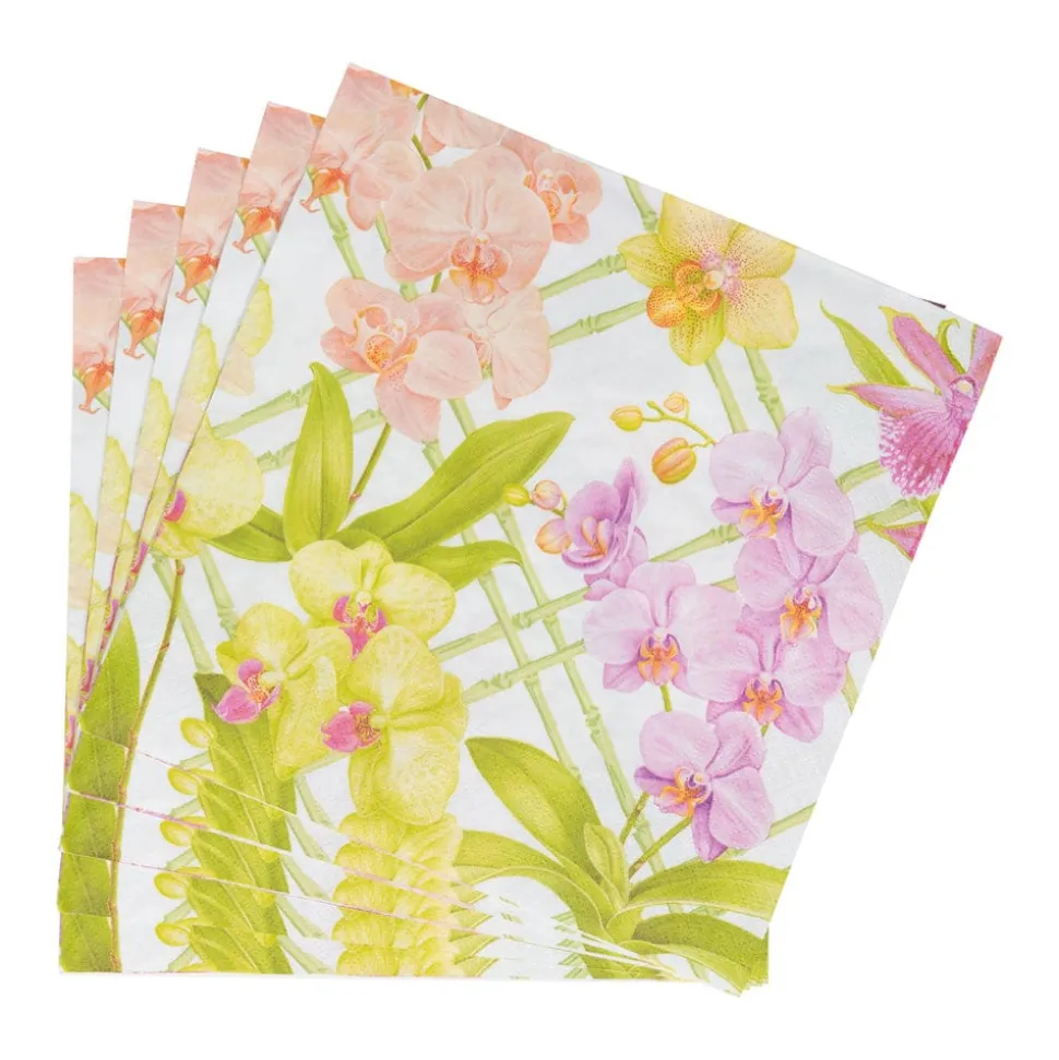 Orchid Conservatory Dinner Napkins - 20 Per Package