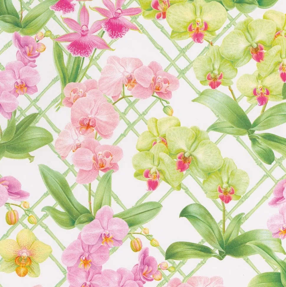 Orchid Conservatory Gift Wrap - One 30" X 8' Roll