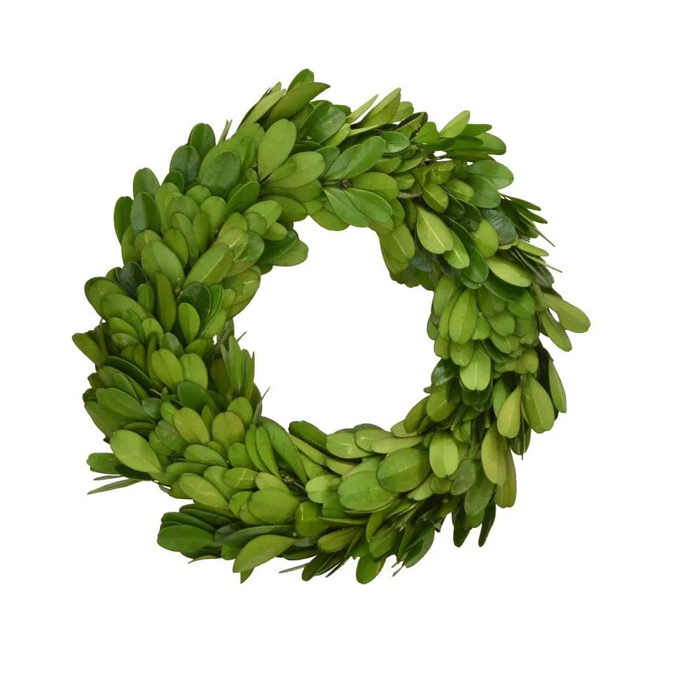 Preserved Boxwood Mini 6" Wreath & Candle Rings - Set of 2