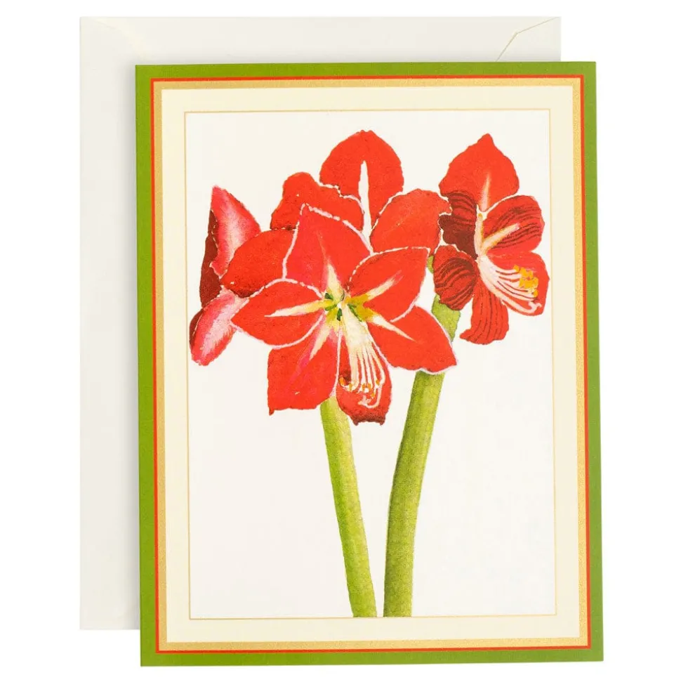 Red Amaryllis Personalized Christmas Cards