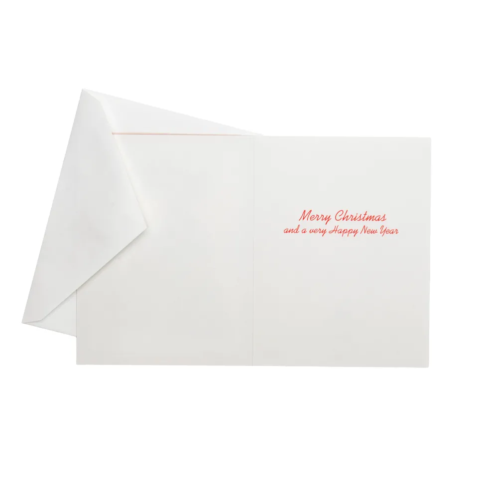 Santa Carrying Tree Classic Boxed Christmas Cards - includes 15 cards & envelopes