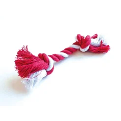 Santa Hat Cat Pet Favors - includes 1 Pet Favors