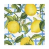Seville Paper Luncheon Napkins in Ivory - 20 Per Package