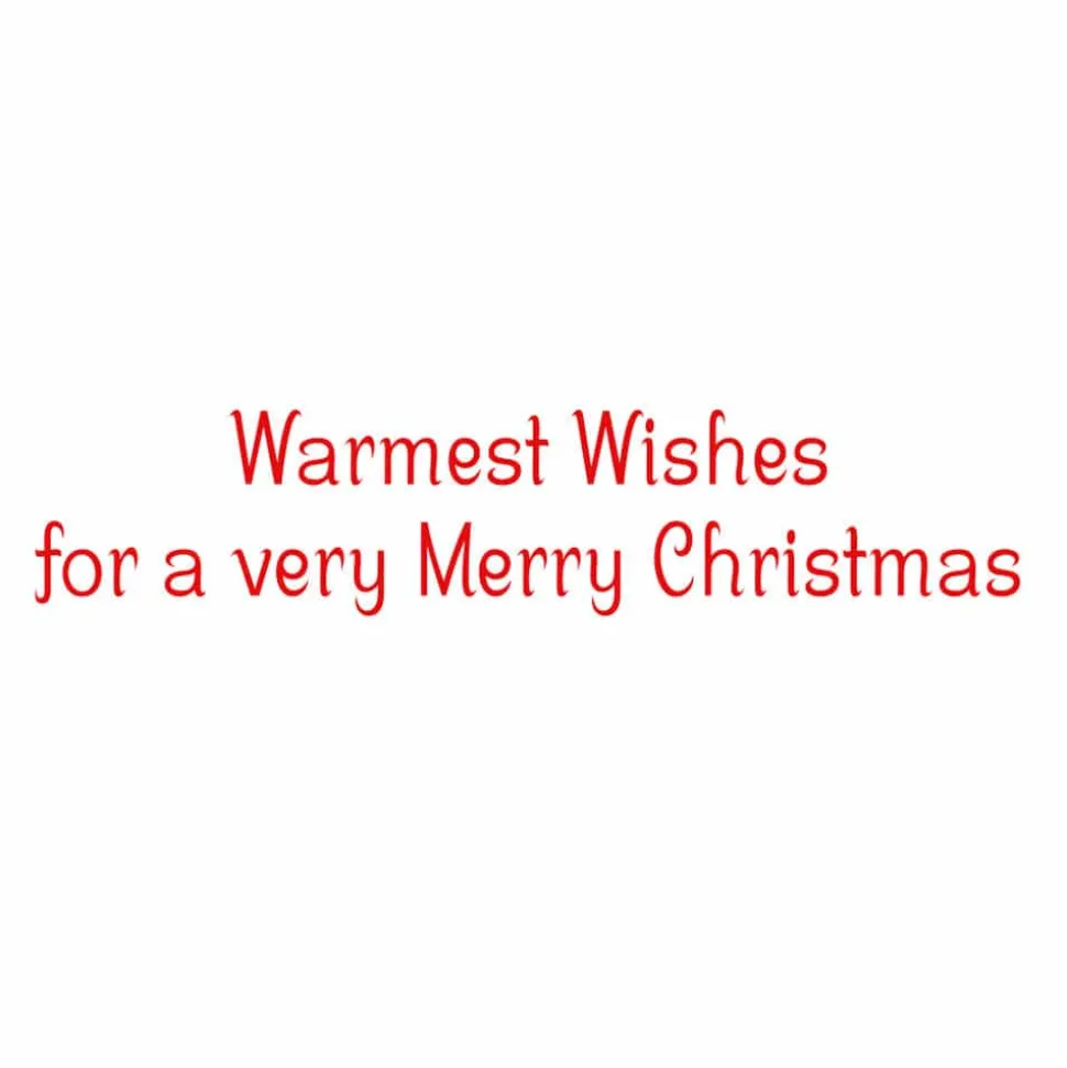 Snow Fun Classic Boxed Christmas Cards - includes 15 cards & envelopes