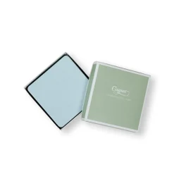 Soft Aqua Lizard Coasters - 8 Per Package