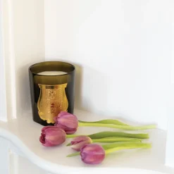 Trudon Classic Scented Candle - Odalisque