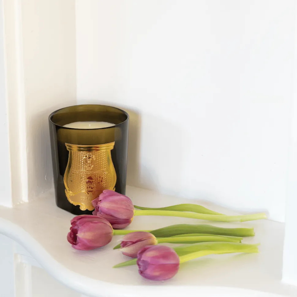 Trudon Classic Scented Candle - Odalisque