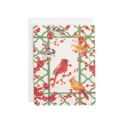 Winter Birds And Berries Classic Boxed Christmas Cards - includes 15 cards & envelopes