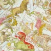 Zodiac Gift Wrap - One 30" X 8' Roll